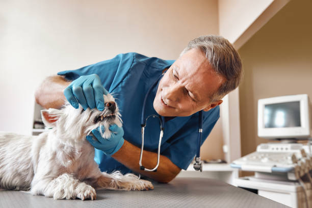 Best Weekend Emergency Dentist in West Orange, TX