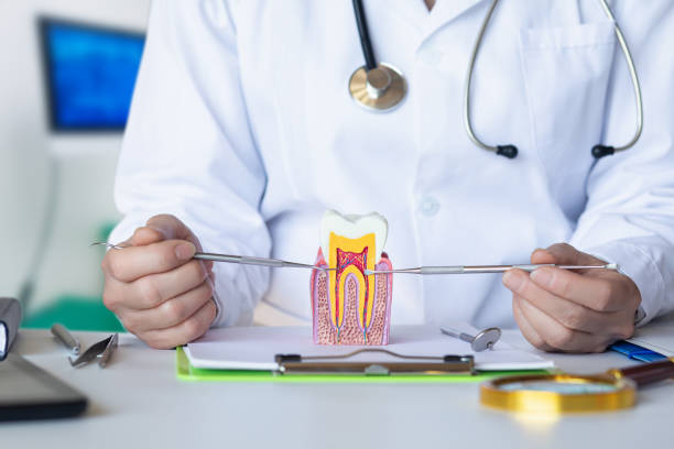 Best Emergency Dentist for Knocked-Out Tooth in West Orange, TX